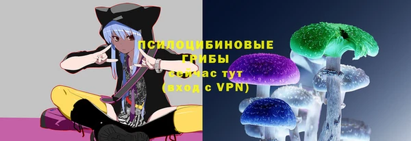 mdpv Богданович