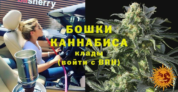 дурь Арсеньев