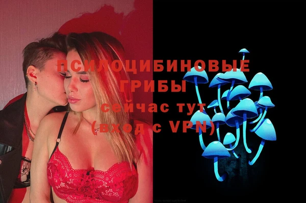 дурь Арсеньев