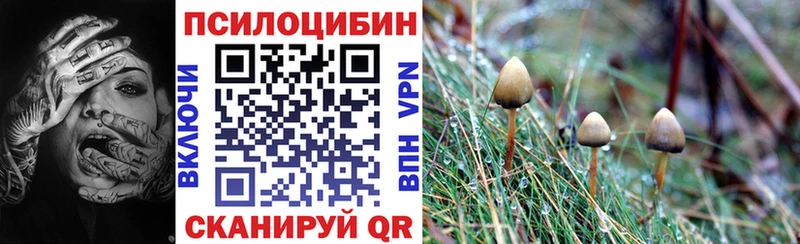 сайты даркнета состав  Первоуральск  Псилоцибиновые грибы мухоморы  дарнет шоп 